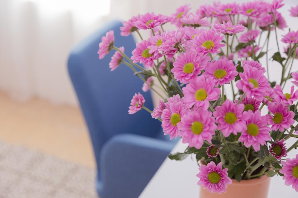 Check In Tlv Apartment Tel Aviv Bilik gambar